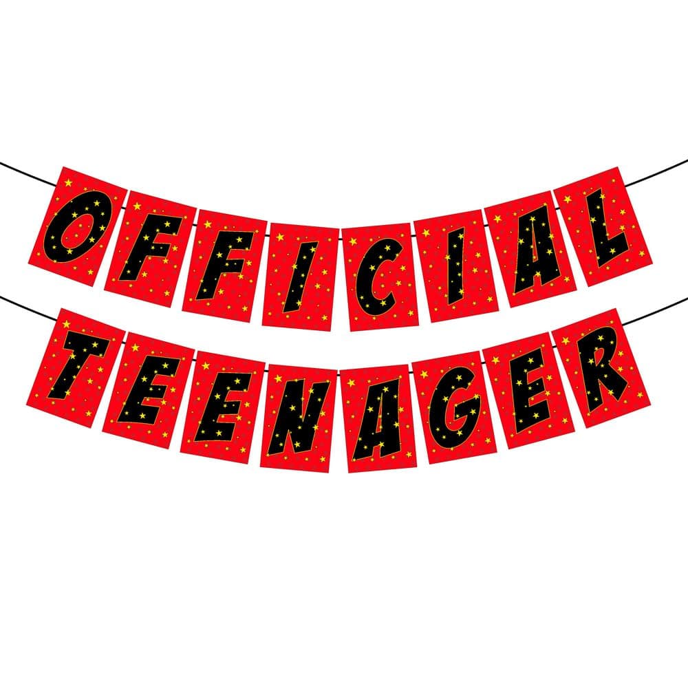 Balloonistics Official Teenager Happy Birthday Banner – Bold Black & Gold Bunting – Premium Cardstock 13th Birthday Party Decorations for Boys & Girls thumbnail 1
